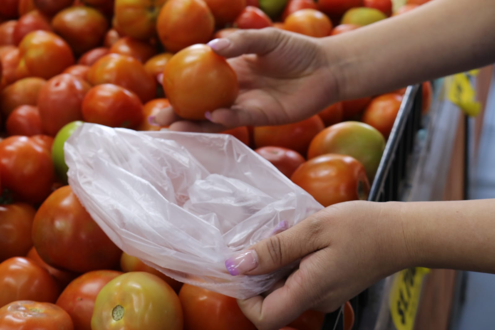 ¿Qué piensan los sampedreños sobre laprohibición de plásticos de un solo uso,especialmente de las bolsas?