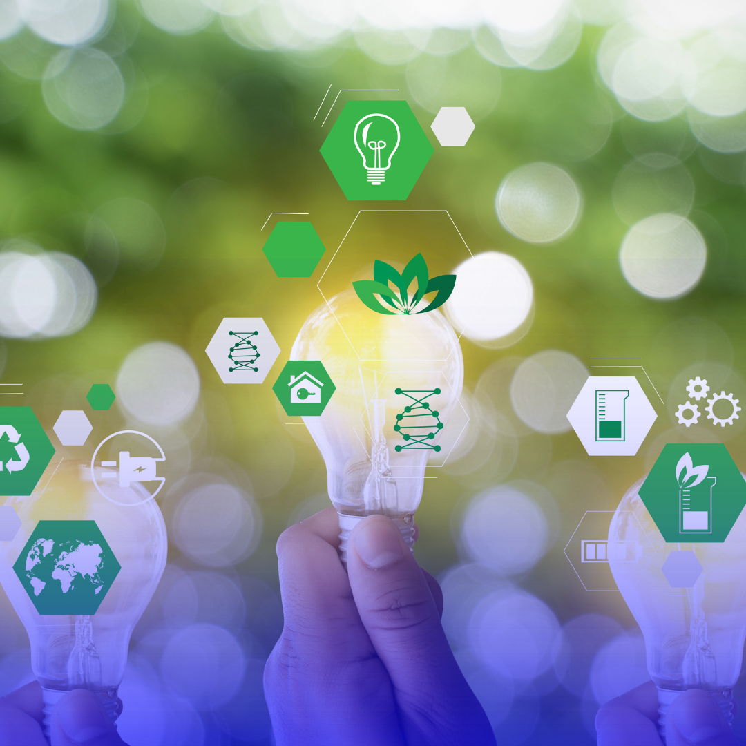 Estudiantes de La Gabriela impulsan la sostenibilidad a través de un programa intermunicipal que enlaza a Belmira y Entrerríos.