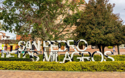Avanzan Recuperación de prados y jardines en el parque principal