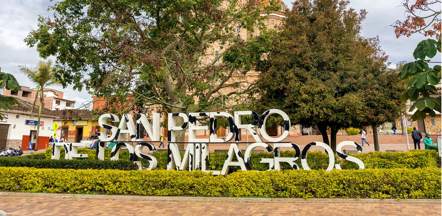 Avanzan Recuperación de prados y jardines en el parque principal