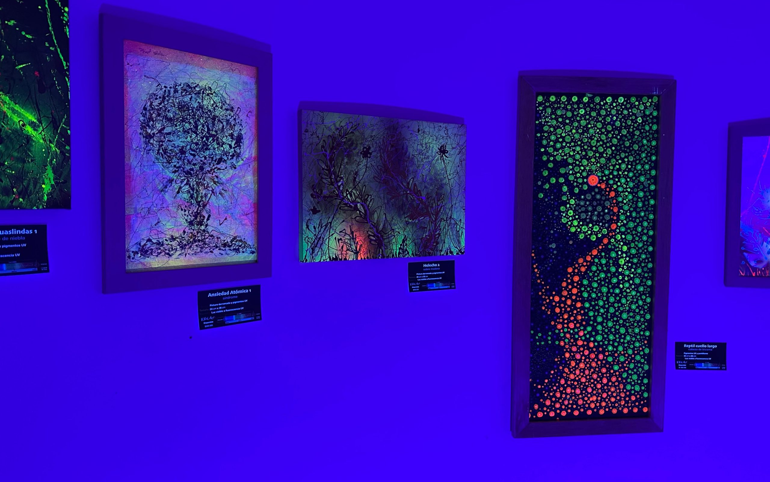Más de 50 obras artísticas llegan a la Casa de la Cultura en una exposición muy colorida abierta a la comunidad